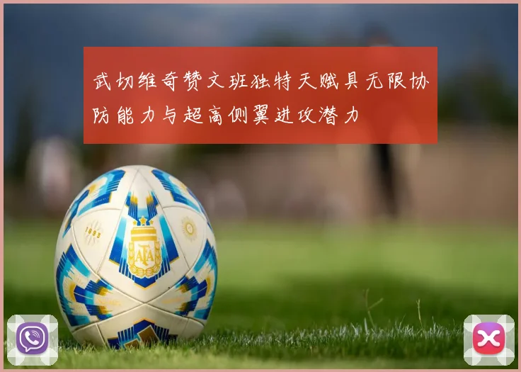 武切维奇赞文班独特天赋具无限协防能力与超高侧翼进攻潜力